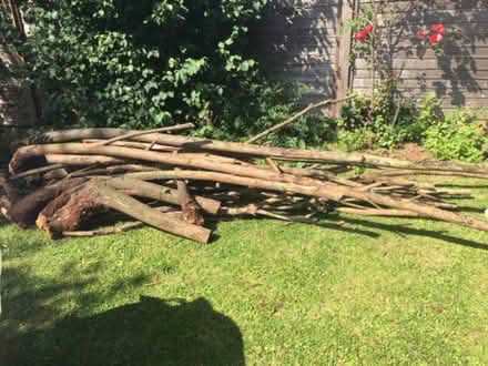 Photo of free Firewood/Logs (Norton Fitzwarren TA2) #1