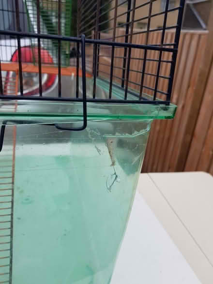 Photo of free Hamster/Gerbil cage (Hinxworth SG7) #1