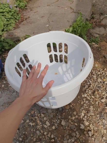 Photo of free Laundry basket (Saltford, Bristol) #1
