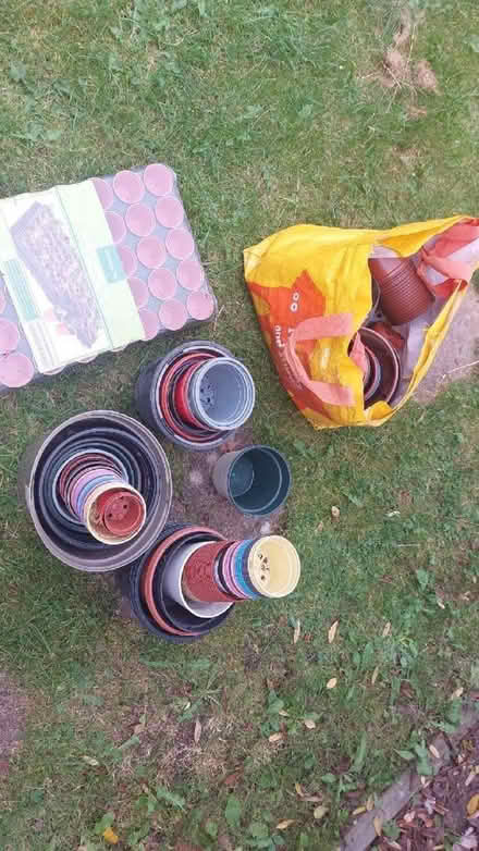 Photo of free Multiple Plastic Plant Pots (Spital CH63) #1