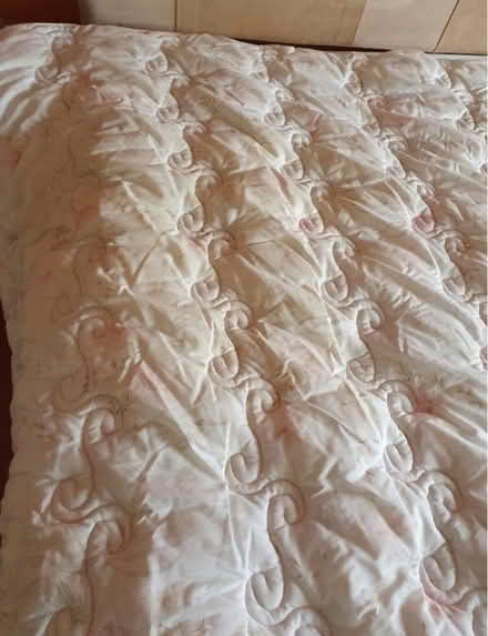 Photo of free Double padded/Quilted bedspread (OX4, Littlemore) #4