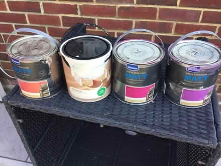 Photo of free Paint (CT14) #2