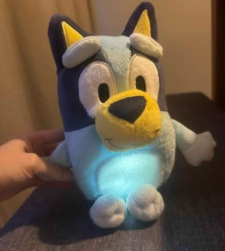 Photo of free Various cuddly toys (IP2) #2