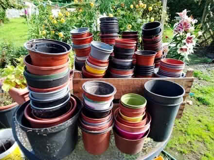 Photo of free Flower pots (Orleton SY8) #1