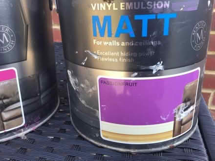 Photo of free Paint (CT14) #3