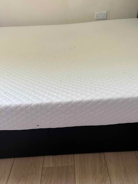 Photo of free King size bed and mattress (OX4, Littlemore) #2