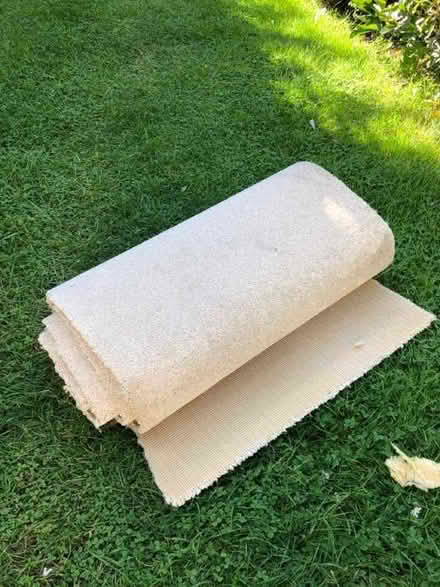 Photo of free Cream carpet offcuts (Coggeshall Hamlet CO5) #1