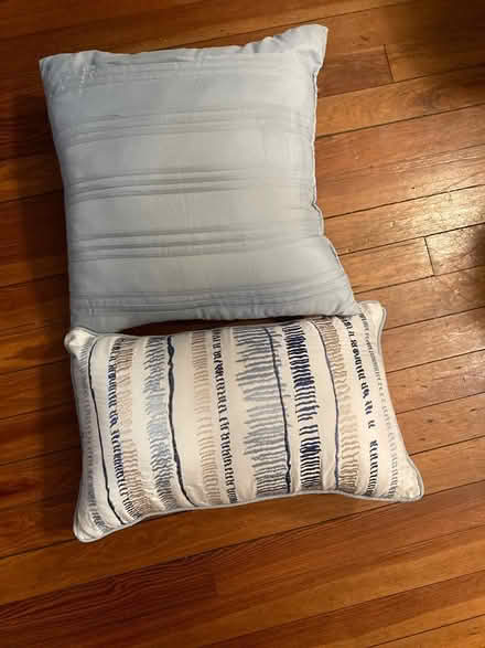 Photo of free Throw pillows (Petworth) #1