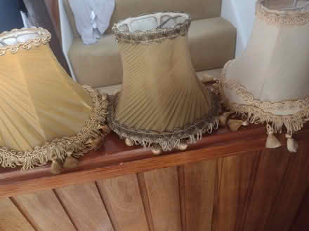Photo of free Small lamp shades (Liverpool 25) #1