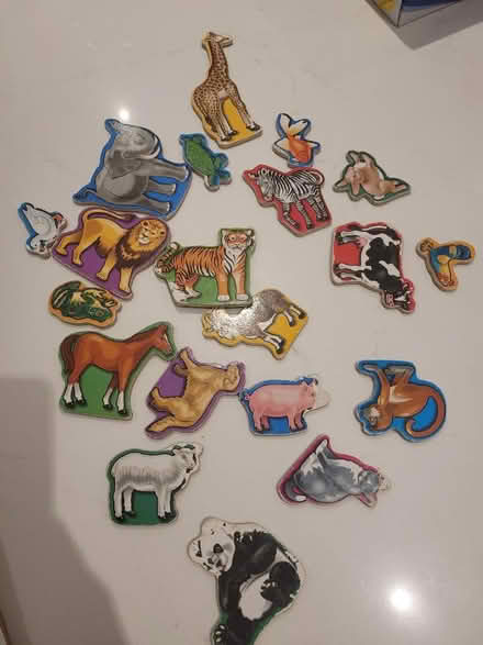 Photo of free Animal magnets (Letchworth SG6) #1