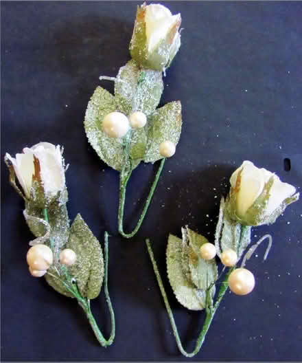 Photo of free 3 White Sugared Rose Stems (Boonton) #1