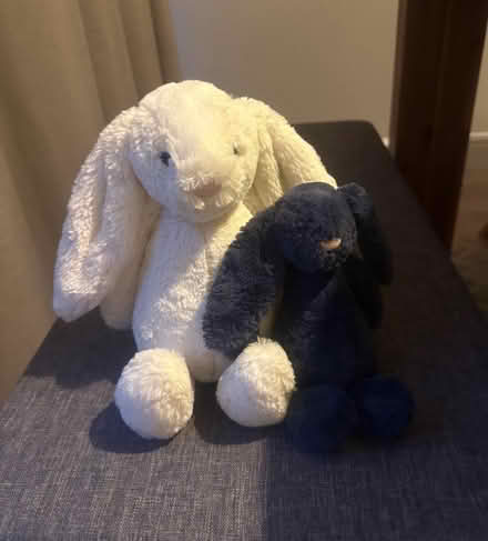 Photo of free Various cuddly toys (IP2) #4