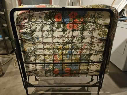 Photo of free Folding bed (Longwood, Bronx) #1