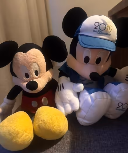 Photo of free Various cuddly toys (IP2) #3