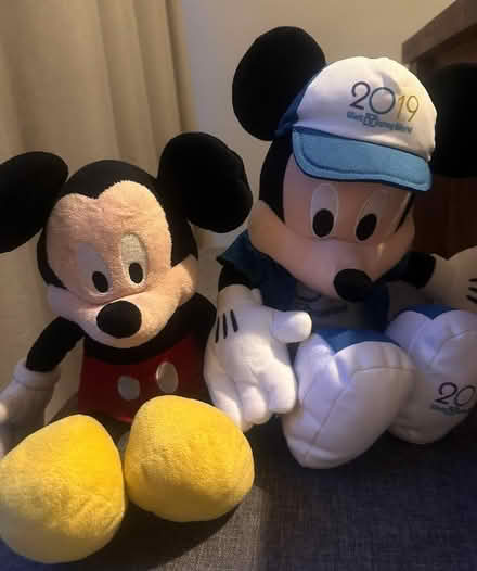 Photo of free Various cuddly toys (IP2) #3