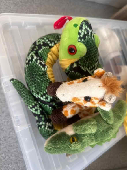 Photo of free Various cuddly toys (IP2) #1