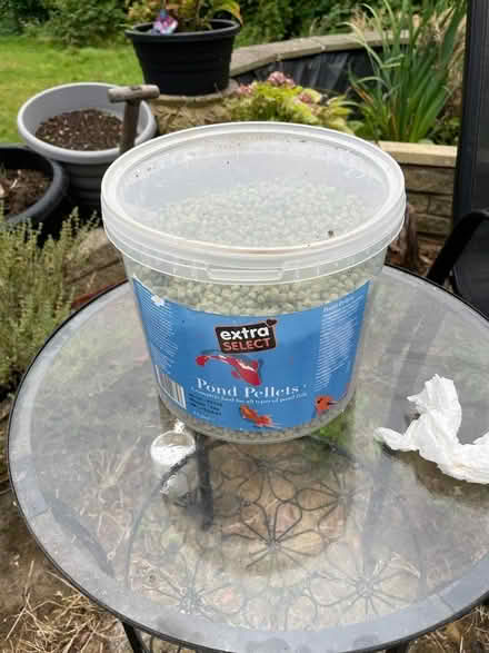 Photo of free Fish pellets and pond stuff (Liverpool 25) #1