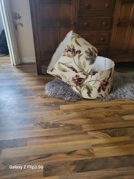 Photo of free Lamp shades (Rutherglen) #1