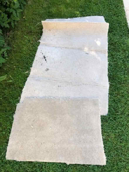 Photo of free Carpet offcuts (Coggeshall Hamlet CO5) #3