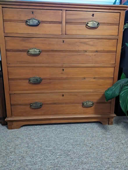 Photo of free Chest of drawers (Exeter EX4) #1