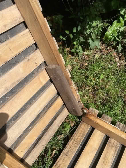 Photo of free Dog ramp (Summercourt) #2