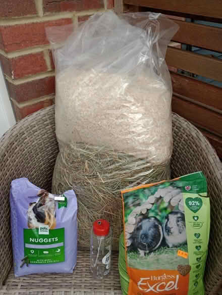Photo of free Guinea Pig bits and pieces (Park Drive TN34) #1