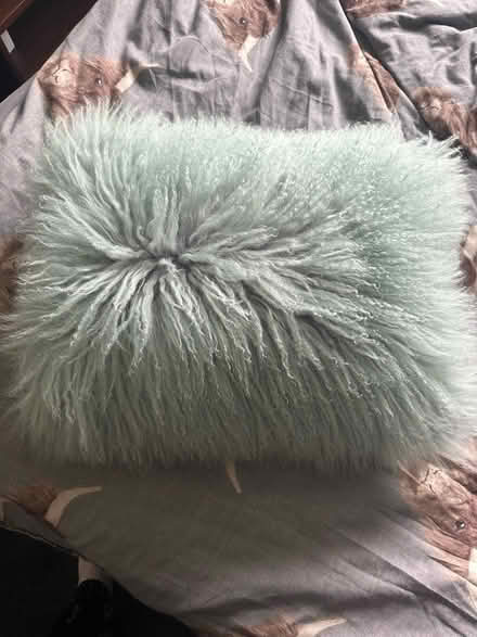 Photo of free Real Mongolian cushion (Leam Lane gateshead NE10) #1