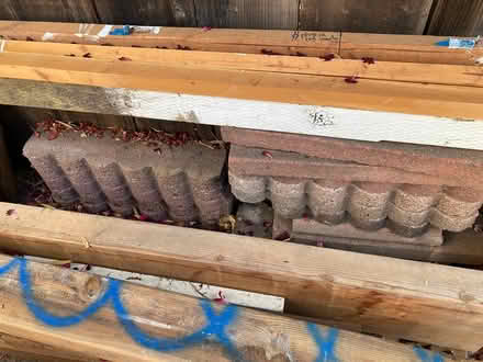 Photo of free Garden bed or path edging (West Petaluma) #3