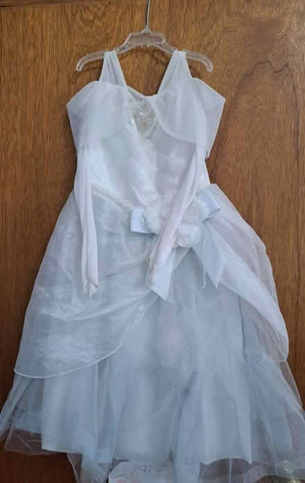 Photo of free Princess Dress (Oradell) #1