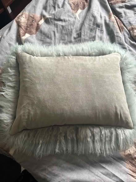 Photo of free Real Mongolian cushion (Leam Lane gateshead NE10) #2