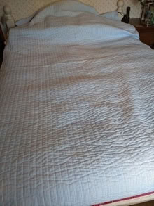 Photo of free new fabric, for bedcover etc (Clun valley SY7) #1