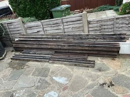 Photo of free Pitched fir tree wood (Kidbrooke SE9) #2
