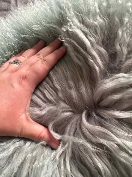 Photo of free Real Mongolian cushion (Leam Lane gateshead NE10) #3