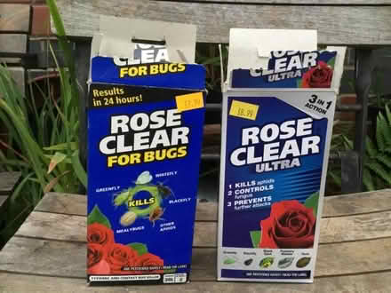 Photo of free Rose, clear for bugs and ultra (Stretton DE55) #1