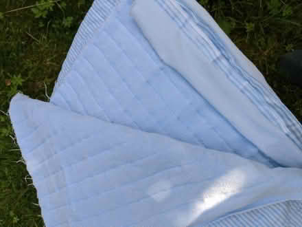 Photo of free new fabric, for bedcover etc (Clun valley SY7) #3