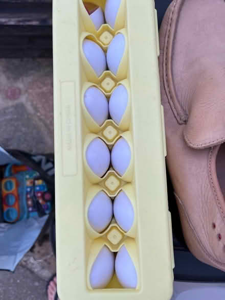 Photo of free Storage children’s toys shoes (Kidbrooke SE9) #3