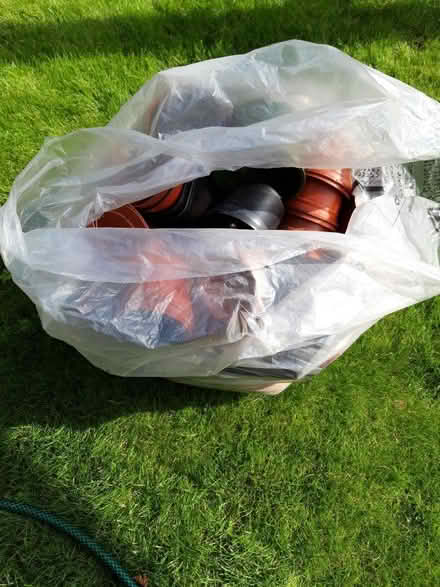 Photo of free Plastic plant pots (Malvern Link WR14) #1