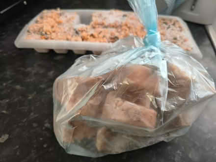 Photo of free Pet (cat) food - £10 worth of fish (Forest Hill) #1