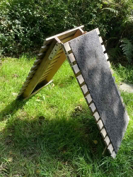Photo of free Dog ramp (Summercourt) #1