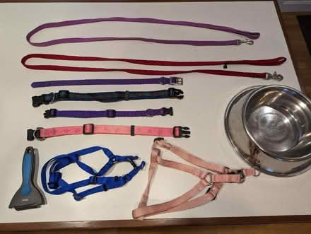 Photo of free Dog leashes, collars, harnesses (Barkhamsted) #1