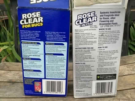 Photo of free Rose, clear for bugs and ultra (Stretton DE55) #2