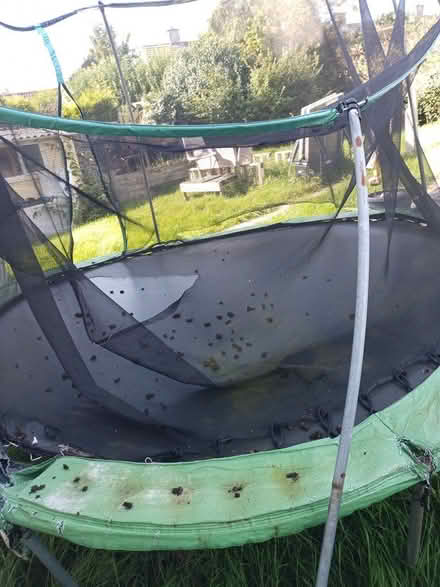 Photo of free Scarp metal (Henbury) #2