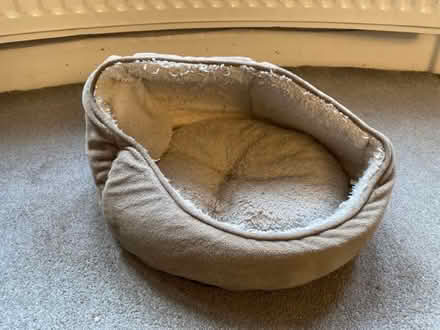 Photo of free Small cat bed (Hayes BR2) #1