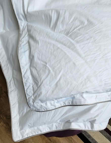 Photo of free Soak & Sleep King Size 10.5 tog Duvet Never Used (Freshbrook SN5) #3