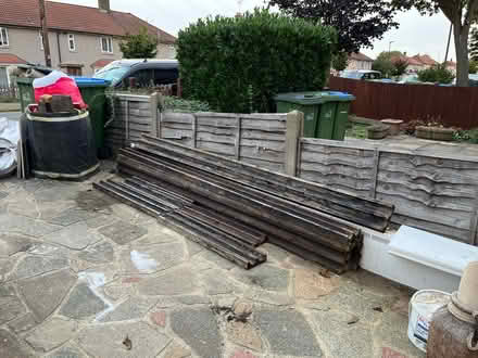 Photo of free Pitched fir tree wood (Kidbrooke SE9) #1