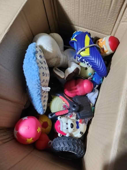 Photo of free Box of dog toys to giveaway (Canary Wharf E14) #1