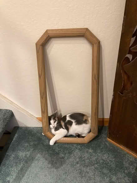 Photo of free Wooden frame (Livermore (near Hagemann Park)) #1