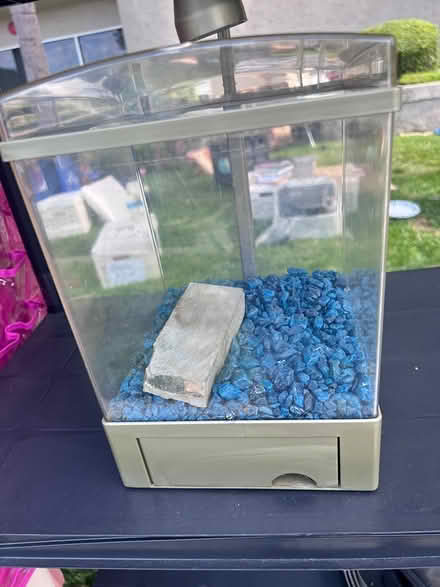 Photo of free fish tank (11410 Dolan Ave Downey) #1