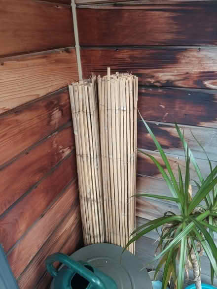 Photo of free 2 short rolls bamboo screening (Albert Park M20) #1