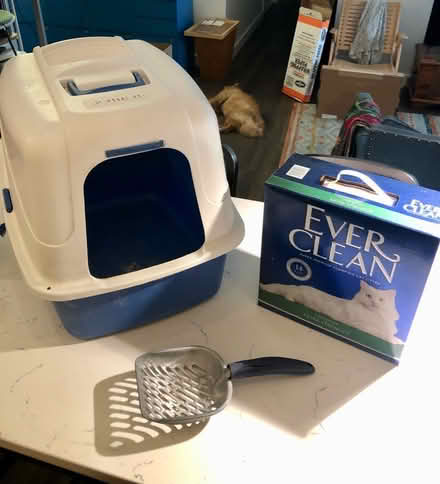 Photo of free Litter box, scoop, cat litter (Southwest D.C.) #1